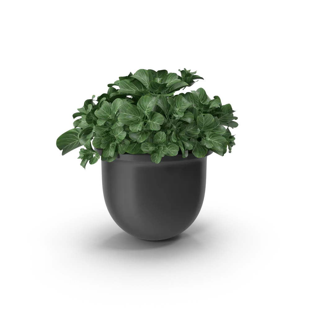 Ceramic Planter with Artificial Green Plant
